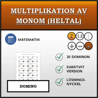 Domino: Multiplikation av monom (heltal)