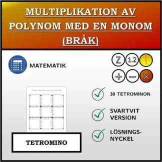 Tetromino: Multiplikation av polynom med en monom (bråk)