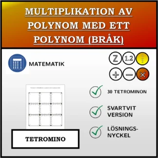 Tetromino: Multiplikation av polynom med ett polynom (bråk)