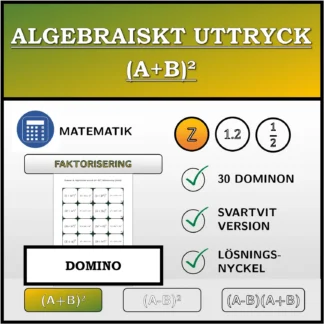 Domino: Algebraiskt uttryck (A+B)², faktorisering (heltal)
