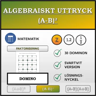 Domino: Algebraiskt uttryck (A-B)², faktorisering (heltal)
