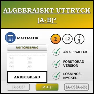 Arbetsblad: Algebraiskt uttryck (A-B)², faktorisering (heltal)