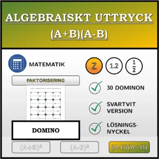 Domino: Algebraiskt uttryck (A+B)(A-B), faktorisering (heltal)