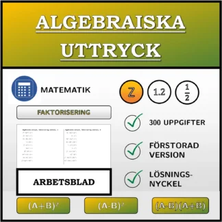 Arbetsblad: Algebraiska uttryck, faktorisering (heltal)