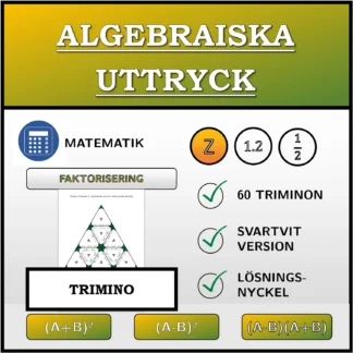 Trimino: Algebraiska uttryck, faktorisering (heltal)