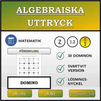 Domino: Algebraiska uttryck, förenkling (bråk)