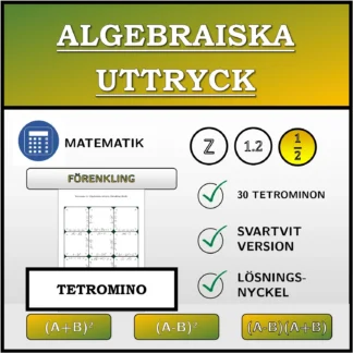 Tetromino: Algebraiska uttryck, förenkling (bråk)