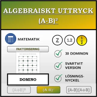 Domino: Algebraiskt uttryck (A-B)², faktorisering (bråk)