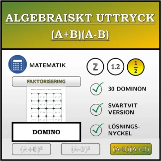 Domino: Algebraiskt uttryck (A+B)(A-B), faktorisering (bråk)