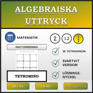 Tetromino: Algebraiska uttryck, faktorisering (bråk)