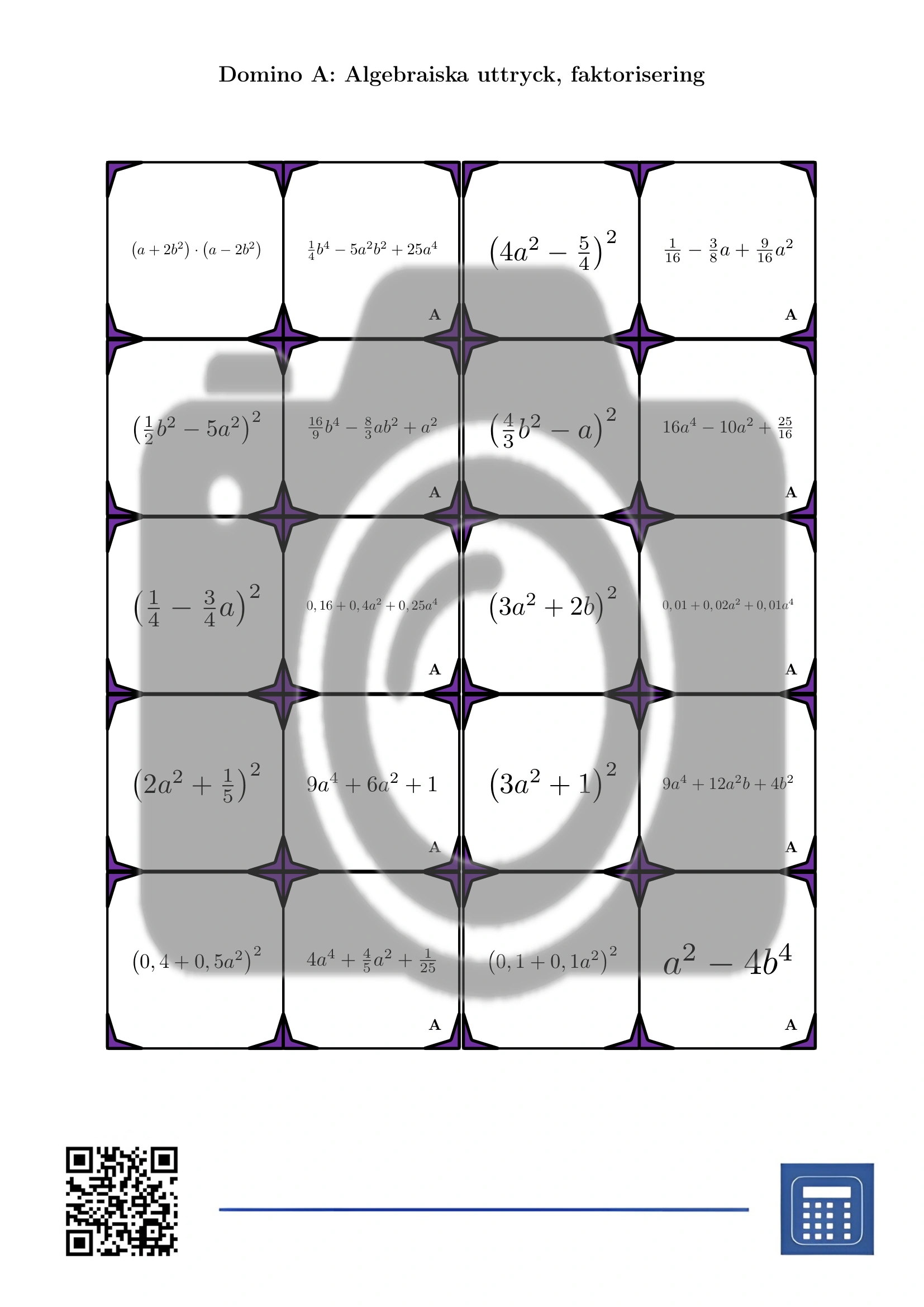 Domino: Algebraiska uttryck, faktorisering - Bild 2
