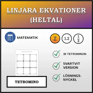 Tetromino: Linjära ekvationer (heltal)
