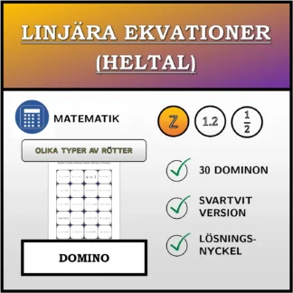 Domino: Linjära ekvationer (heltal), olika typer av lösningar
