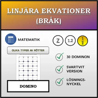 Domino: Linjära ekvationer (bråk), olika typer av lösningar