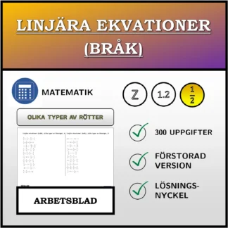 Arbetsblad: Linjära ekvationer (bråk), olika typer av lösningar