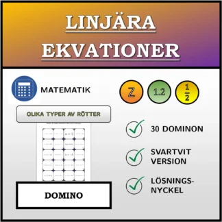 Domino: Linjära ekvationer, olika typer av lösningar
