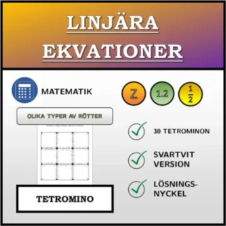 Tetromino: Linjära ekvationer, olika typer av lösningar