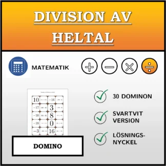 Domino: Division av heltal