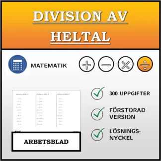 Arbetsblad: Division av heltal