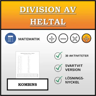 Kombinationsövning: Division av heltal