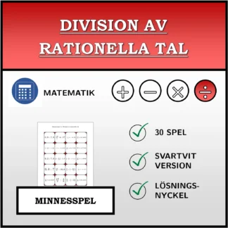 Memoryspel: Division av rationella tal