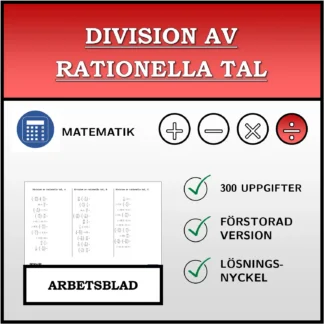 Arbetsblad: Division av rationella tal