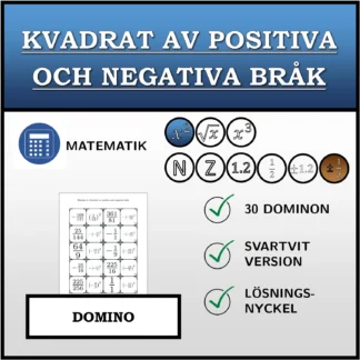 Domino: Kvadrat av positiva och negativa bråk